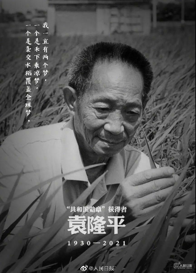 5.jpg 圖片
