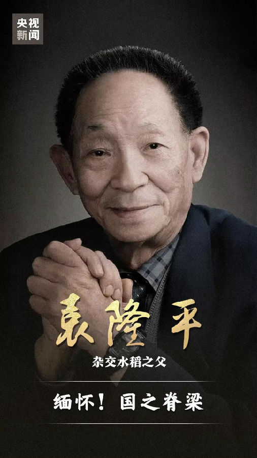 6.jpg 圖片