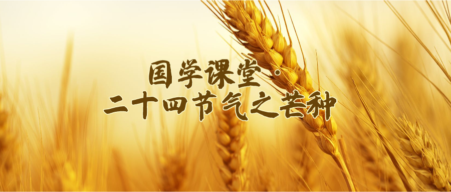 7.png 圖片
