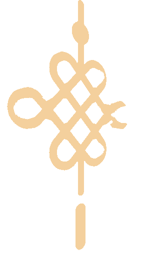 5.gif 圖片