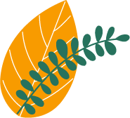 5.png 圖片
