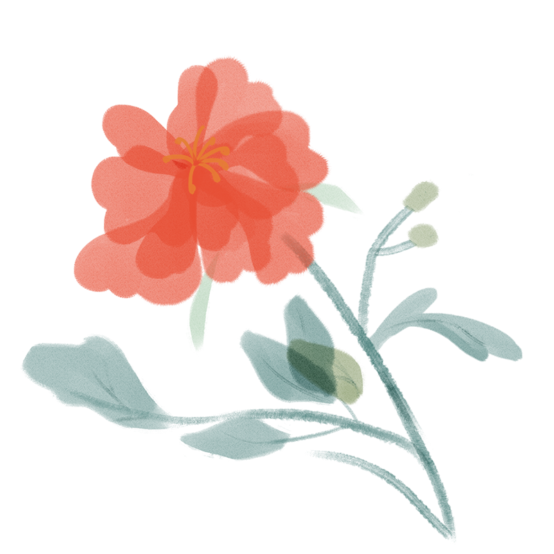 2.png 圖片