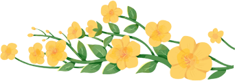 640 (1).png 圖片